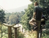 Penland Perches